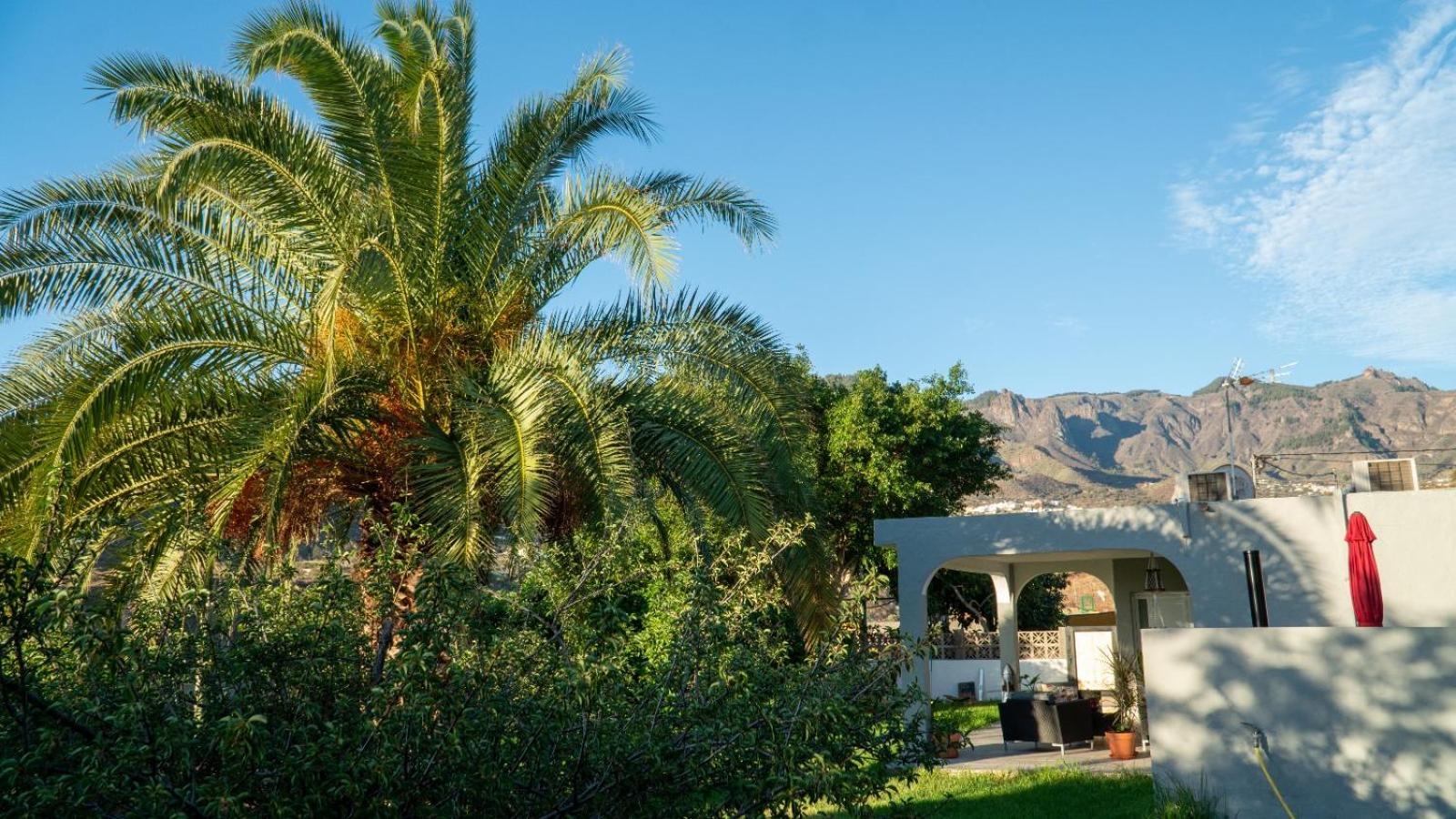 Cottage Gran Canaria Completely Renovated With Jacuzzi Валсекийо Екстериор снимка